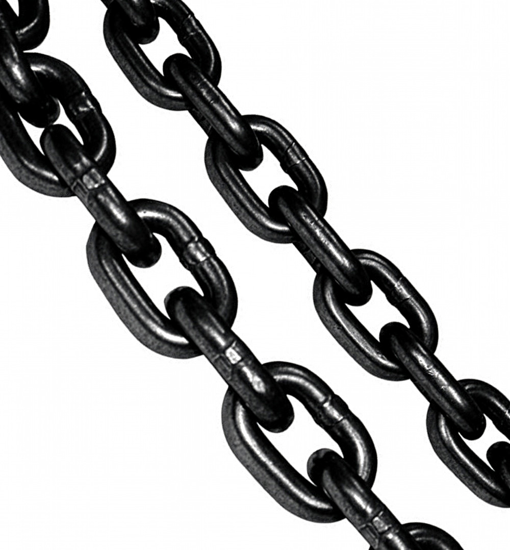 Cadena Negra Grado 8